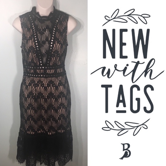 Black and Tan Lace Fringe Dress Charlotte Russe - Picture 1 of 8